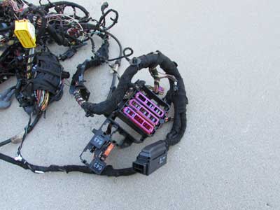 Audi OEM A4 B8 Complete Body Wiring Harness 20097